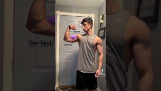 How to grow your bicep width (Best exercises for wider biceps)