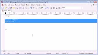 007 PHP Basics Variables