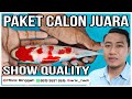 Paket Calon Juara Menyajikan Ikan Koi Dengan Kualitas Show Quality | Mbok Singgah