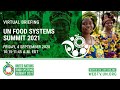 Food Systems Summit 2021: Any progress? - Preparatory briefing (4 September 2020)