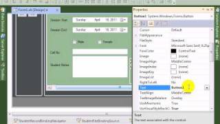 Visual Studio 2010 tutorial Design Button