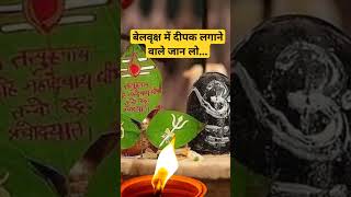 बेलवृक्ष में दीपक जलाने के नियम..#viral #trending #short #shorts #shiv #video #new #love #shortvideo