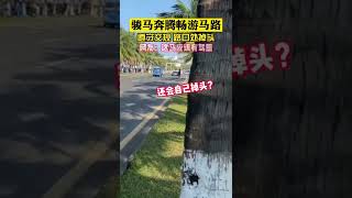 真“奔馳”上路，濱海大道驚現飛馳駿馬，無人駕駛自己路口處掉頭！(真相記)