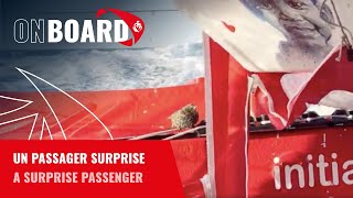 Un passager surprise pour Samantha Davies | Vendée Globe 2024