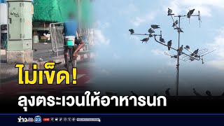 ไม่เข็ด! ลุงตระเวนให้อาหารนกพิราบริมทาง l ข่าวเช้าเวิร์คพอยท์ l 4 ม.ค.68