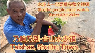 水步人一定要看完整个视频Shuibu people must watch the entire video乃响乃到-台山水步镇Taishan, Shuibu Town探索台山274