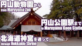 円山動物園から北海道神宮を通って円山公園駅まで　from Maruyama Zoo to Maruyama Koen Station through Hokkaido Shrine