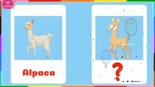 Alpaca Baby Name in English | Alpaca Young One Name | what is the name of baby Alpaca ?