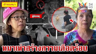 สุดทนหมาเห่า!บุกปาของใส่เพื่อนบ้าน เผยฝูงหมาสร้างความเดือดร้อน | ทุบโต๊ะข่าว | 6/8/67