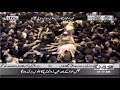 Shabih e Zuljanah Procession Reached Imambargah Mubarak Haveli | 10th Muharram | 10 Sep 2019