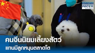 คนจีนนิยมเลี้ยงสัตว์แทนมีลูก หนุนตลาดโต | BUSINESS WATCH | 20-09-67