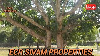 183/// ECR SIVAM PROPERTIES 1Acre 8 cent ECR on road property 330 road frontage 21+50+75+ commercial