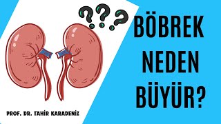 Böbrek Büyümesi Nedir? Böbrek Neden Büyür? | Prof.Dr. Tahir Karadeniz