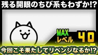 【スマホ版サブアカ実況】残る開眼のちび系もわずか！！ちびネコの第三形態を求めて開眼ステージに挑戦していきますッ！！【にゃんこ大戦争】