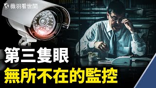 學生抗議已定性，小粉紅醒了嗎？員工監控系統成為中共企業割韭菜工具｜薇羽看世間 第316期 20210610