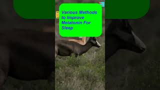 Improve Melatonin For Sleep