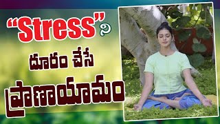 How To Do Meditation | Meditation In Telugu | Manthena Satyanarayana Raju Videos