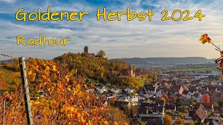 Goldener Herbst, bunte Weinberge - Radtour um Beilstein, Insta360AcePro