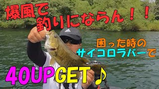 【野尻湖】爆風で釣りにならん！！困った時のサイコロラバーで40UPGET！！【レンタルボート】