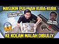 MASUKIN PULUHAN KURA-KURA BARU KE KOLAM! MALAH KENA BULLY KURA-KURA SENIOR!