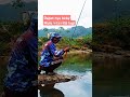 Mancing ikan sirip kuning dapetnya Beby nya mulu #umpanikannilempalingjitu #fishingequipment