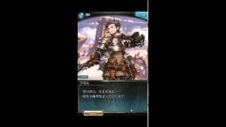 【グラブル】ふたりの騎士【66章】