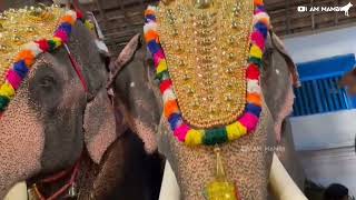 തൃപ്പൂണിത്തറ ഉത്സവം||Tripunithura utsavam 2022