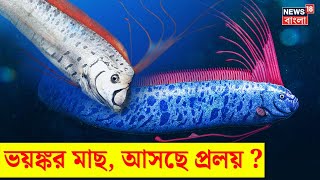 Doomsday Fish : ফিরে এল সেই ভয়ঙ্কর মাছ! এবার কি আসছে প্রলয়? N18V