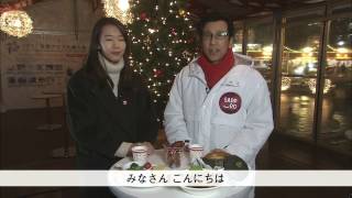 冬を彩る光の宝石・ホワイトイルミネーション～札幌の夜景の魅力