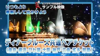 ディナークルーズ共通ペアチケット(東京湾・横浜港・神戸港・びわ湖・博多湾・大阪大川・広島港・那覇港)【結婚式二次会/忘年会/ビンゴ大会～景品紹介映像～】