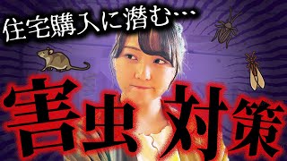 【愛媛県の新築注文住宅】住宅購入に潜む害虫対策とは？シロアリだけではない？！OOには超注意！！（木造住宅/新日本建設）