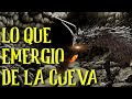 don CHANO vs los NAHUALES de la cueva  historias de terror narradas en español arlof 2023