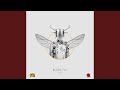 Born Fly