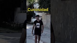 Vídeos Donde La Curiosidad 💀 Al Gato