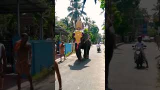 പൂരപറ #thrissur #pooram #thrissur_pooram #youtubeshorts #youtube #elephant #shorts #shortvideo