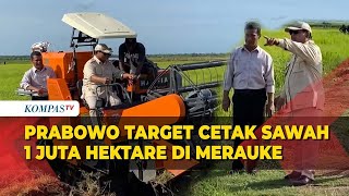 Segini Target Presiden Prabowo untuk Cetak Sawah di Merauke