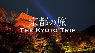 【Relaxing trip in Japan】Autumn leaves in Kyoto  Impressive view! A solo trip to 9 famous places