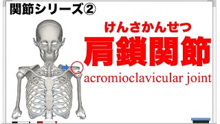 関節シリーズ②｜肩鎖関節を詳しく解説！医療系の学生・身体の仕組みを知りたい方は必見の動画です。