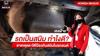 วิธีป้องกันสนิมในรถยนต์ |เซลฝ้าย|HONDA MASUK| #ป้องกันสนิมในรถยนต์