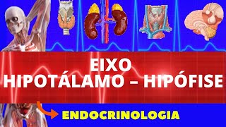 EIXO HIPOTÁLAMO E HIPÓFISE - FISIOLOGIA DE GUYTON (SISTEMA ENDÓCRINO) - FISIOLOGIA HUMANA