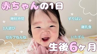 【成長記録】生後6ヶ月赤ちゃんの1日👶🏻離乳食 / ずりばい / 睡眠時間/ いたずら / 散歩