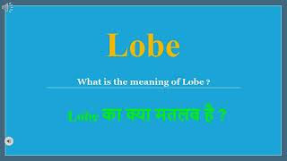 Lobe meaning in Hindi | Lobe ka kya matlab hota hai | daily use English words