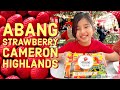 Abang Strawberry Cameron Highlands