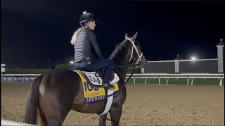 Flightline, Rich Strike, Nest: Breeders' Cup Classic and Distaff Training 11/1/22 (Part 1/4)