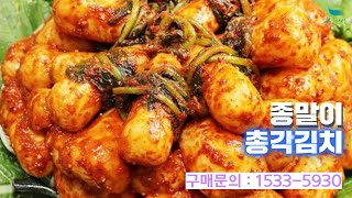 [신바람 협력업체 판매상품 1533-5930] 종말이 총각김치 3kg 판매