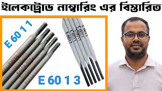 ইলেকট্রোড নাম্বারিং এর বিস্তারিত | Electrode Numbering Details