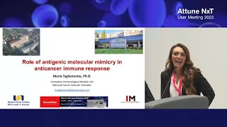 Role of antigenic molecular mimicry in anticancer immune response