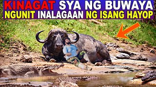 KINAGAT SYA ng BUWAYA NGUNIT INALAGAAN ng ISANG HAYOP sa MAPANGABIB na ILOG NG AFRICA