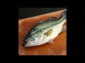 Bass fishing in USA river. Megabass shimano packraft inflatable kayak raining winter cold water bfs