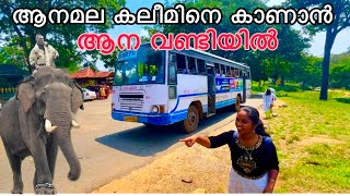 ആനമല കാലീമിനെ കാണാൻ പോയതാ പണിപാളി | Top slim Anamala klim | KSRTC trip